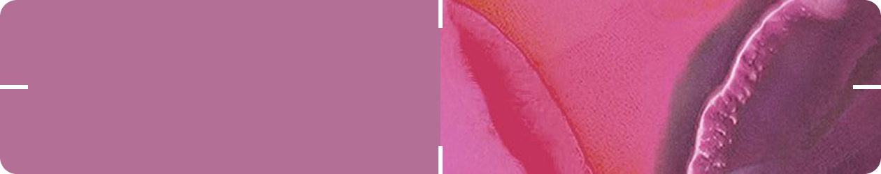 Clinical Evidence Summary - Vaginal health & combination of probiotic lactobacilli: ASTARTE™ & LA-5®